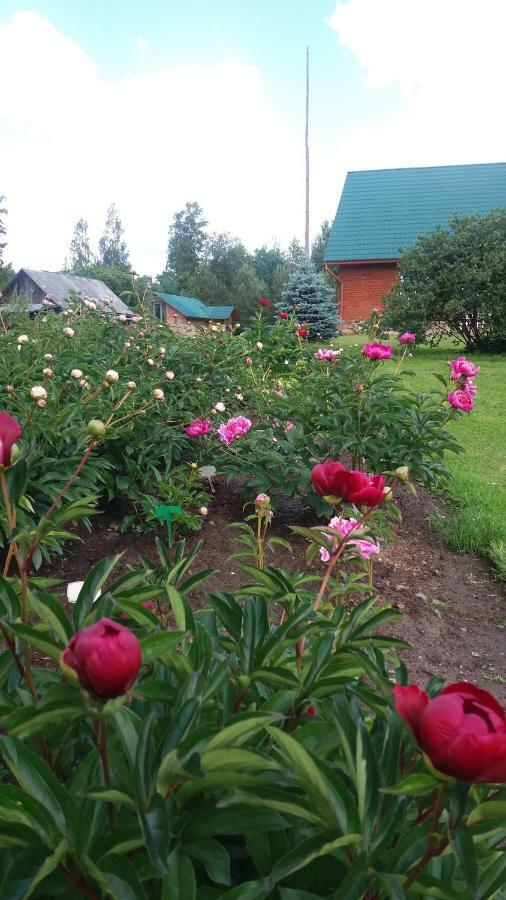 Cucumuiza Villa Kuldiga Ngoại thất bức ảnh